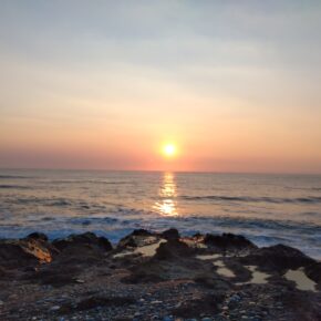 IMG_20240304_063126 